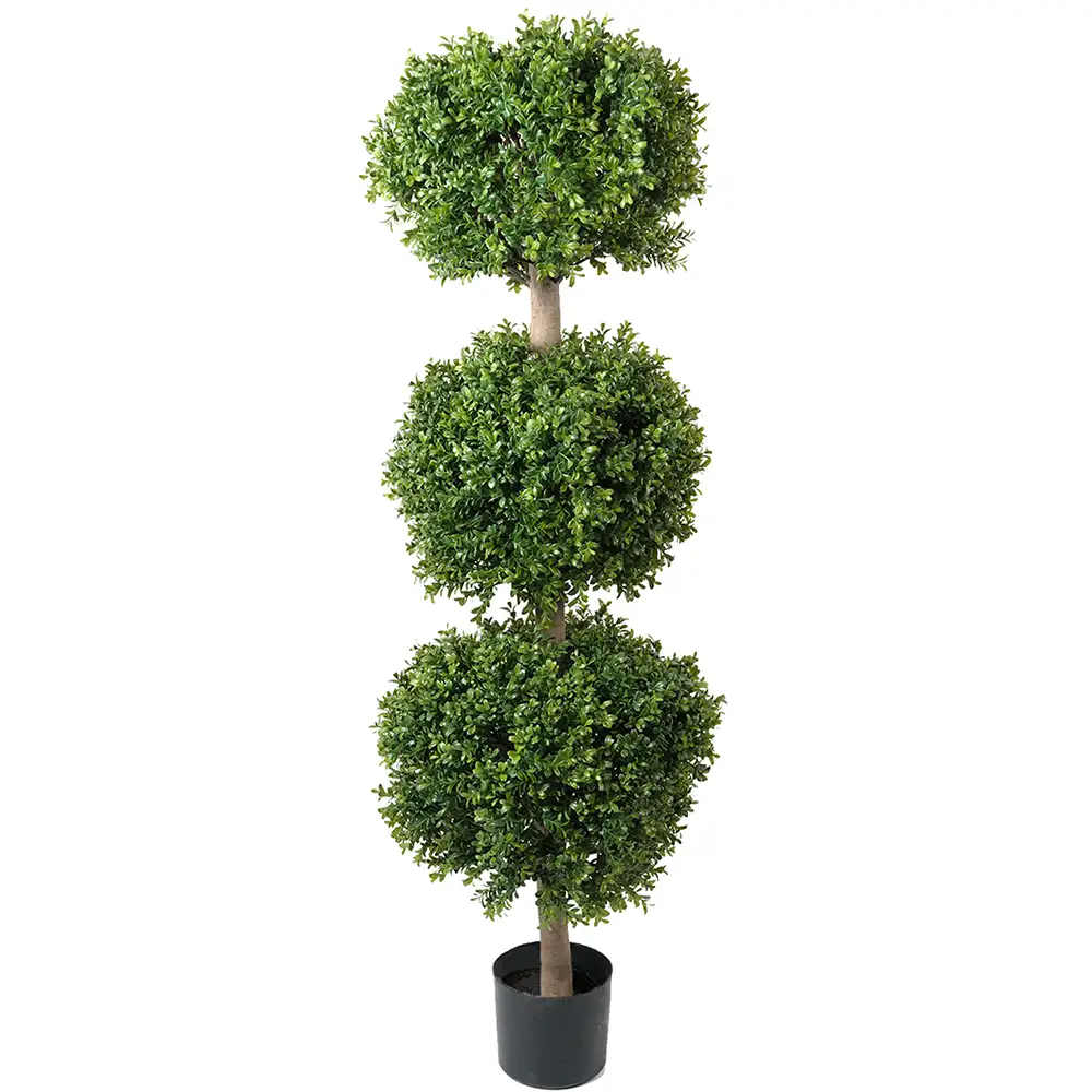 Produktfoto för Mr Plant, Buxbom 140 cm