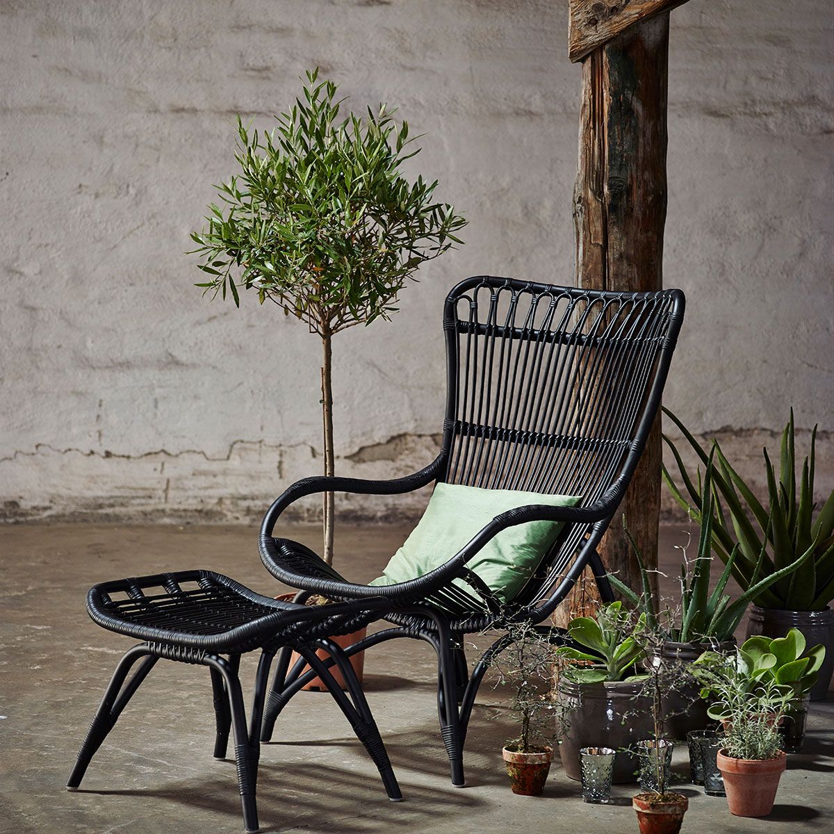 Monet Rottingfåtölj Svart 