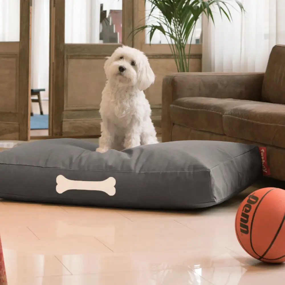 doggielounge L canvas Hundbädd recycled charcoal grey