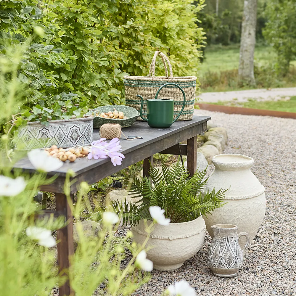 Vattenkanna Olivia Gul