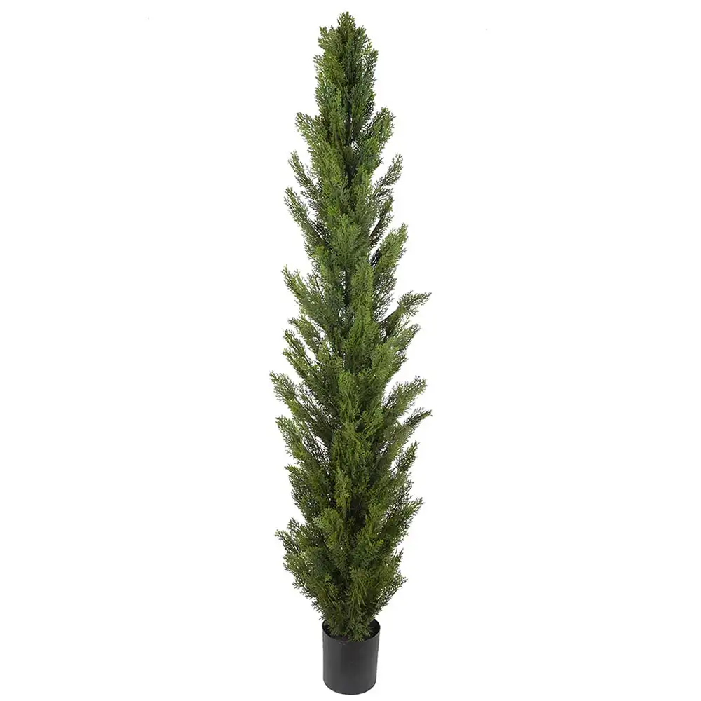 Mr Plant Cypressträd 180 cm