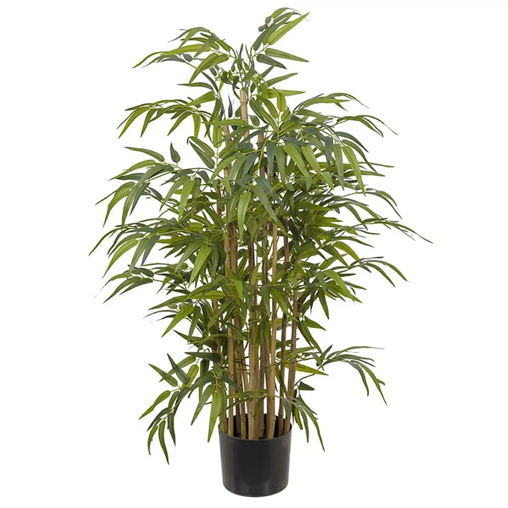 Produktfoto för Mr Plant, Bambu 120 cm