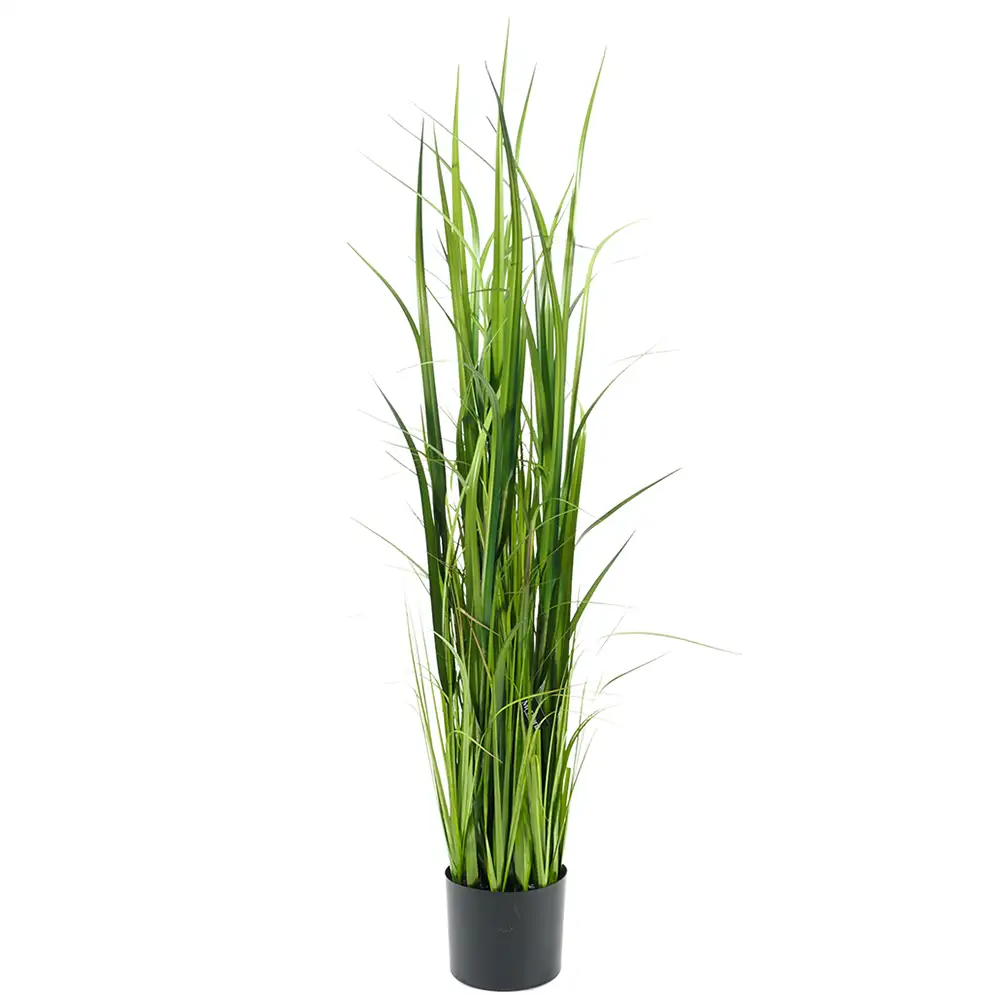 Mr Plant Gräs 135 cm