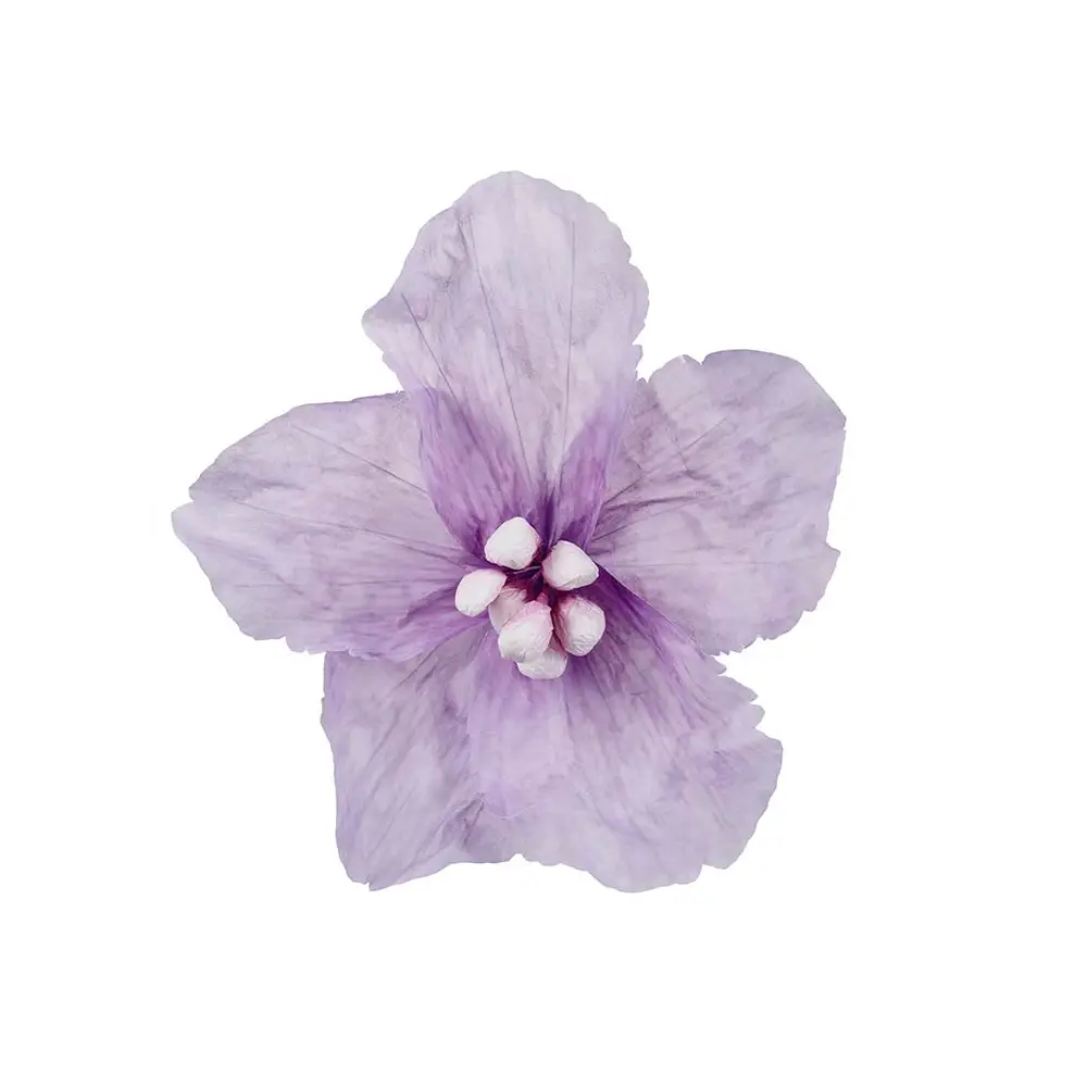 Mr Plant, Blomma Fiona vägg Ø70 cm lila