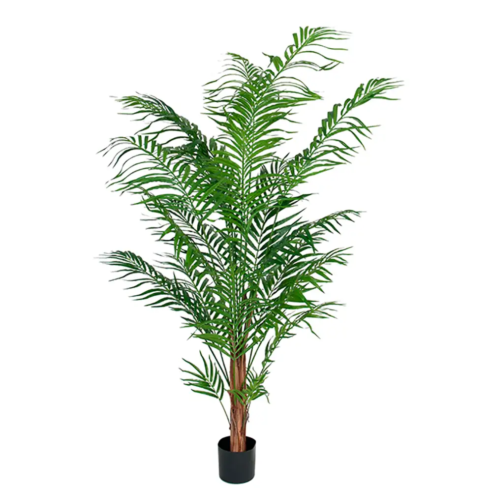 Mr Plant Areca Palm 150 cm