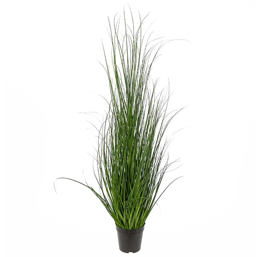 Mr Plant Gräs 110 cm