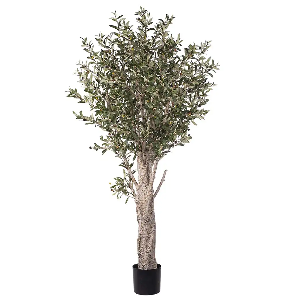 Mr Plant Olivträd 190 cm