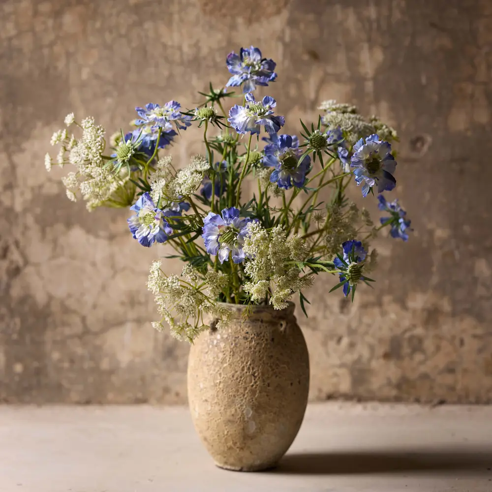 Mr Plant, Scabiosa Snittblomma 70 cm Blå view 2