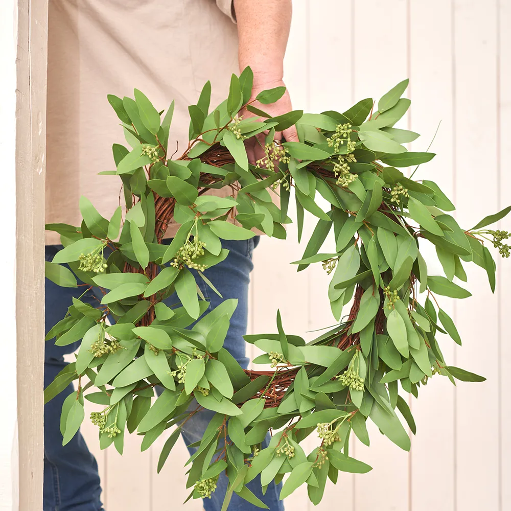 Eucalyptus krans 50cm