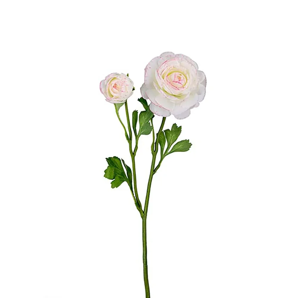 Ranuncel Snittblomma 45 cm Flerfärgad