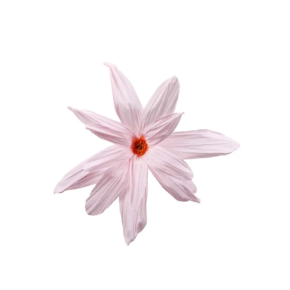 Mr Plant, Blomma Inez vägg Ø90 cm rosa