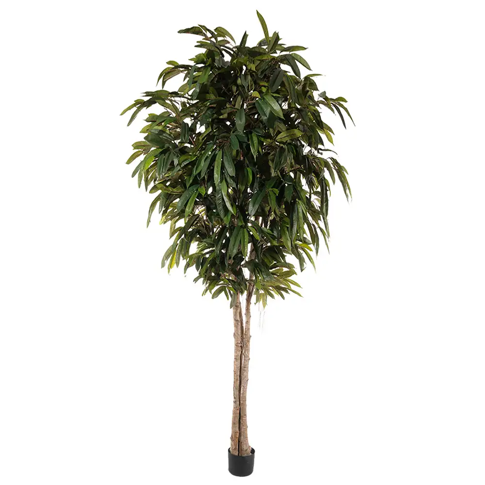 Alternativ bild 1 för Mr Plant, Longifoliaträd 150 cm
