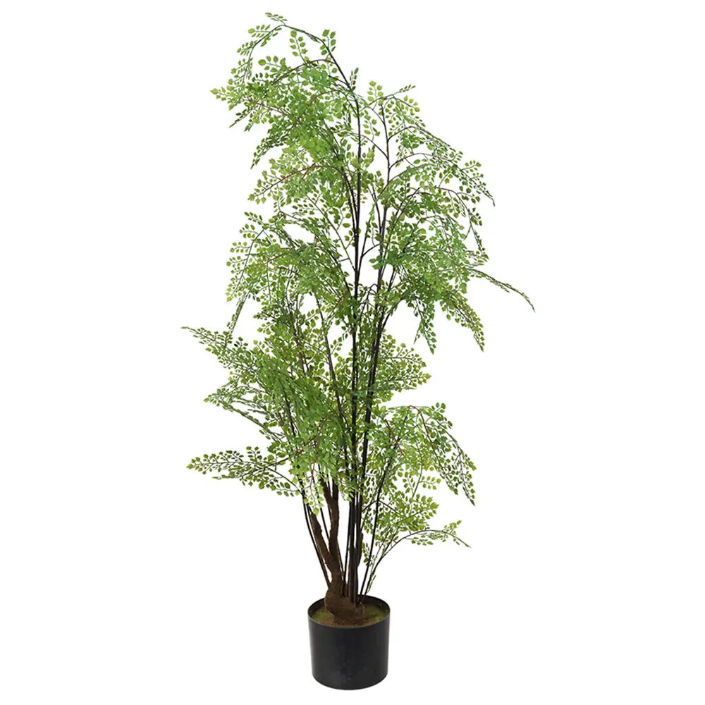 Mr Plant Adiantumträd 110 cm