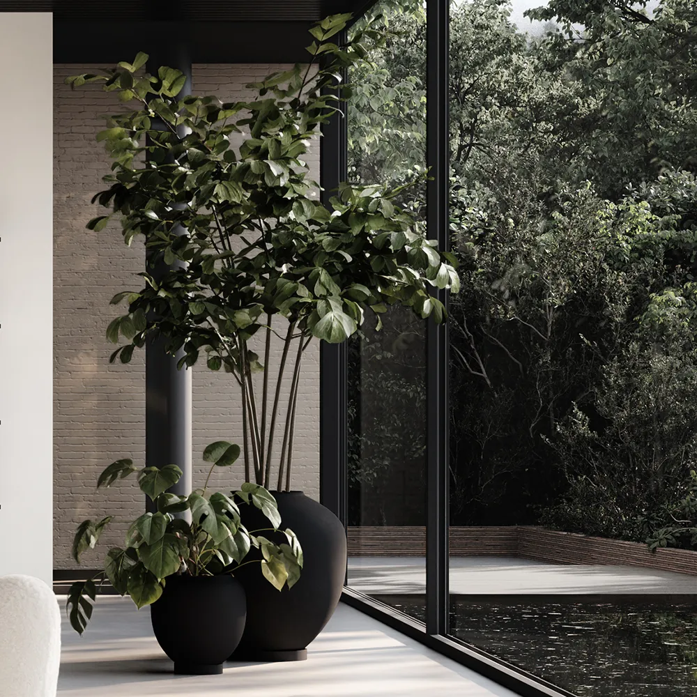 Sunao Vas Hexa - Black