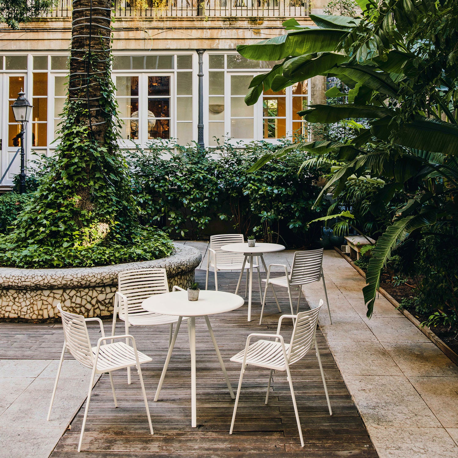 Zebra karmstol Pearly Gold