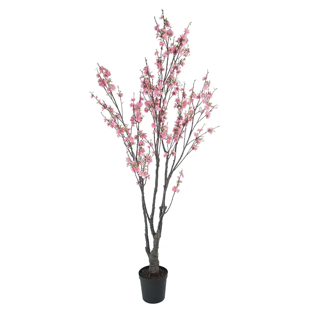 Produktfoto för Mr Plant, Körsbärsblomträd 180 cm