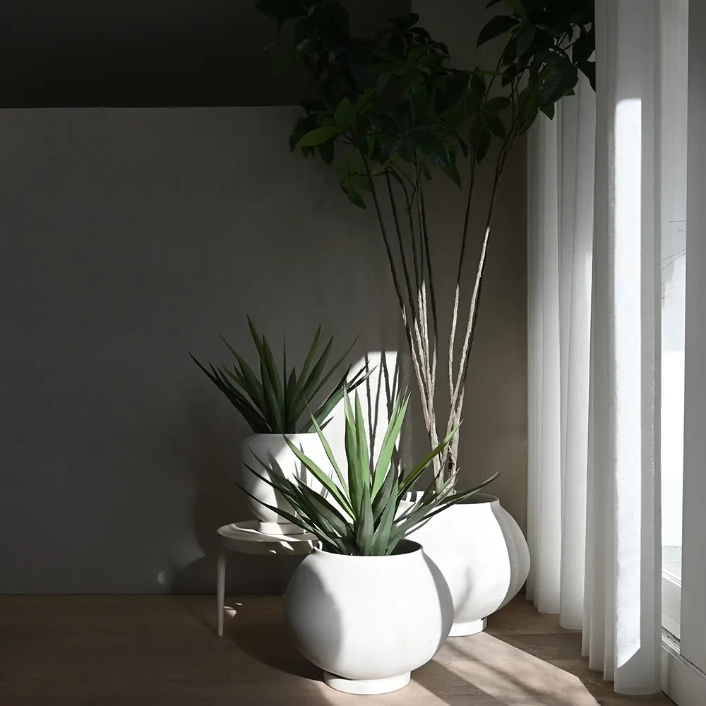 Sunao kruka Fat Big - Birch