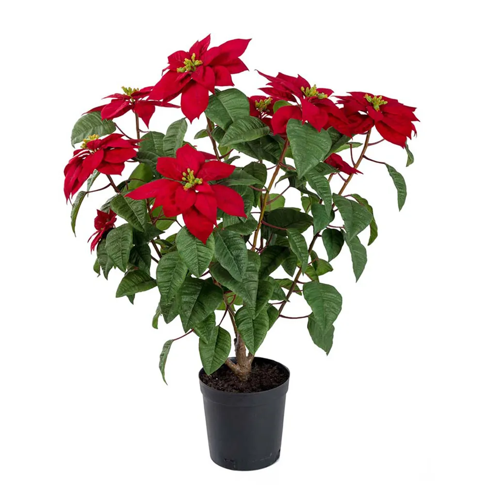 Mr Plant Julstjärna 70 cm Röd