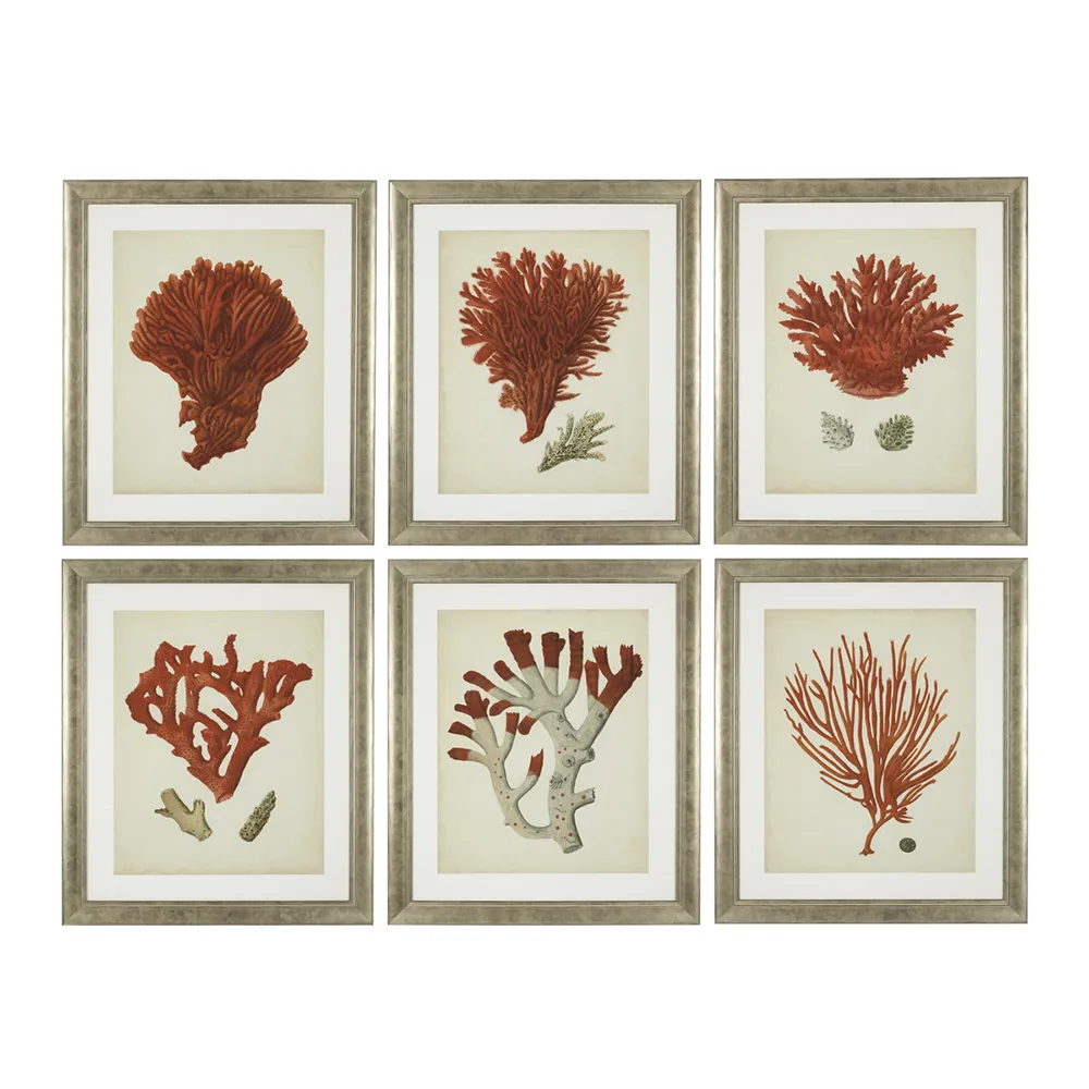 Print Antique Red Corals set of 6