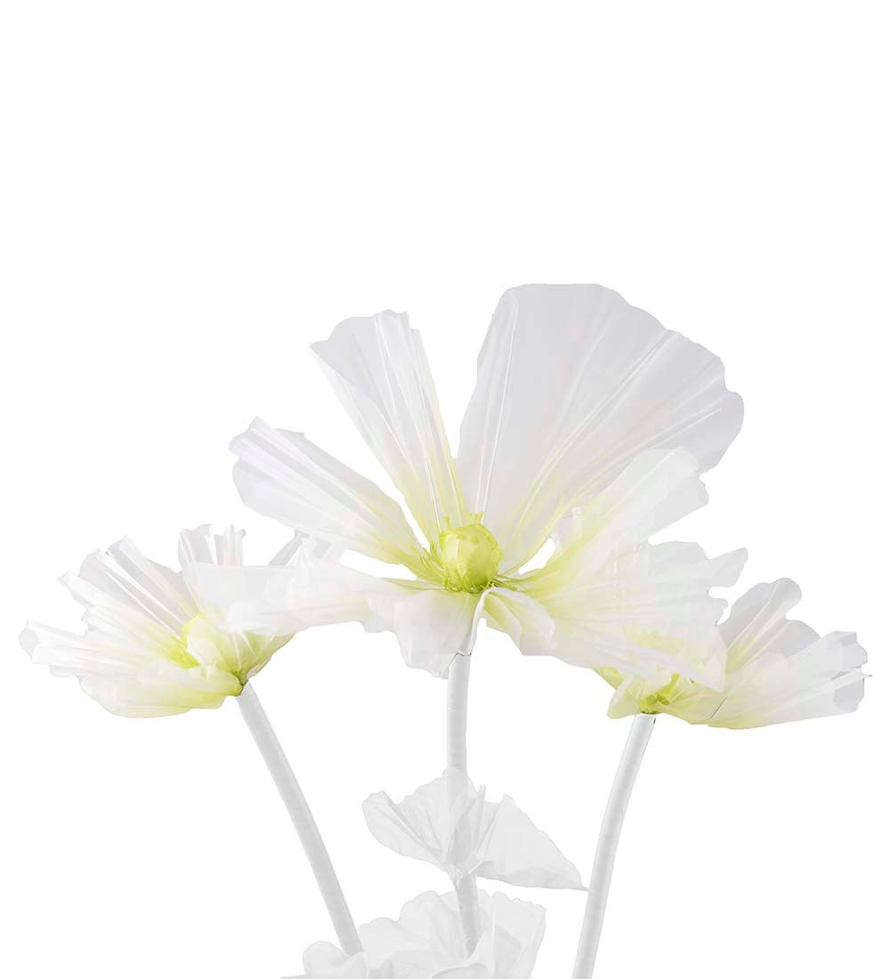 Mr Plant, Blomma Leia Ø80/60/40 cm lime