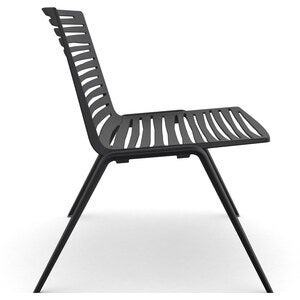 Zebra fåtölj Black 
