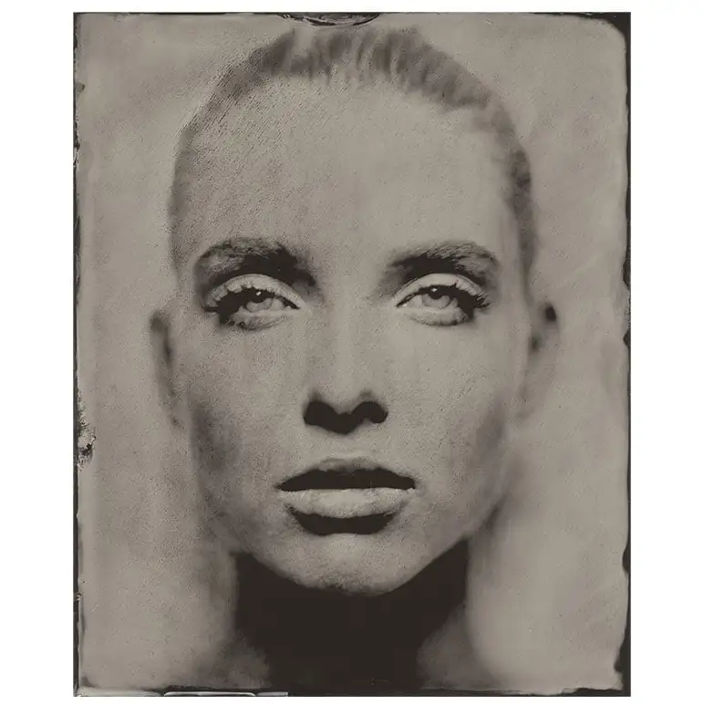 Väggdekor Gazing Still 100x150 cm