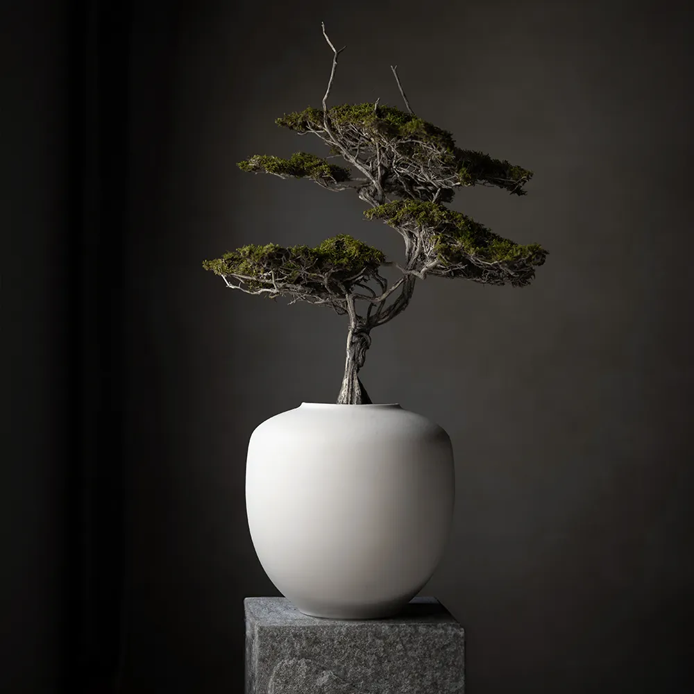 Alternativ bild 1 för 101 Copenhagen - Sunao Vase Medio Björk