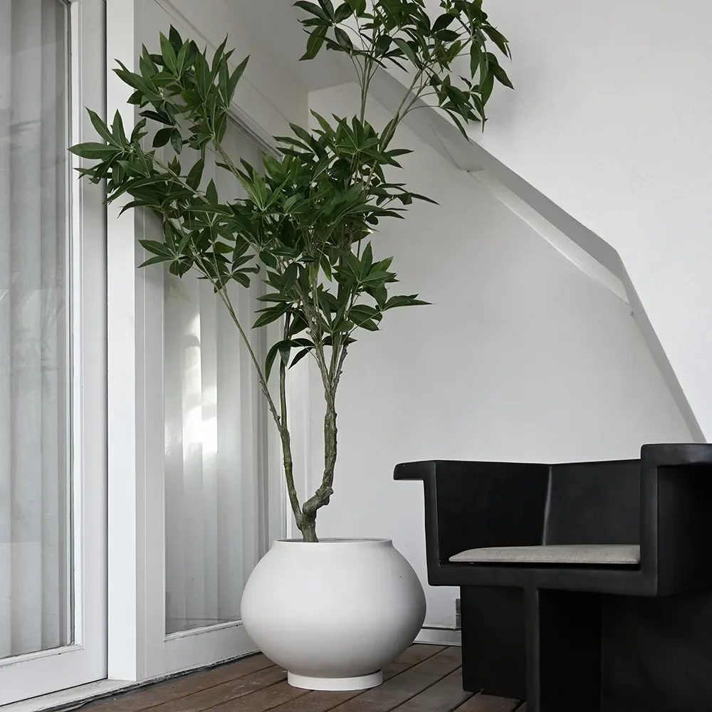 Sunao kruka Fat Hexa - Birch