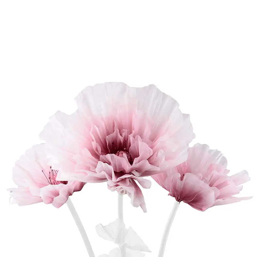 Mr Plant, Blomma Alva Ø80/60/40 cm fushsia