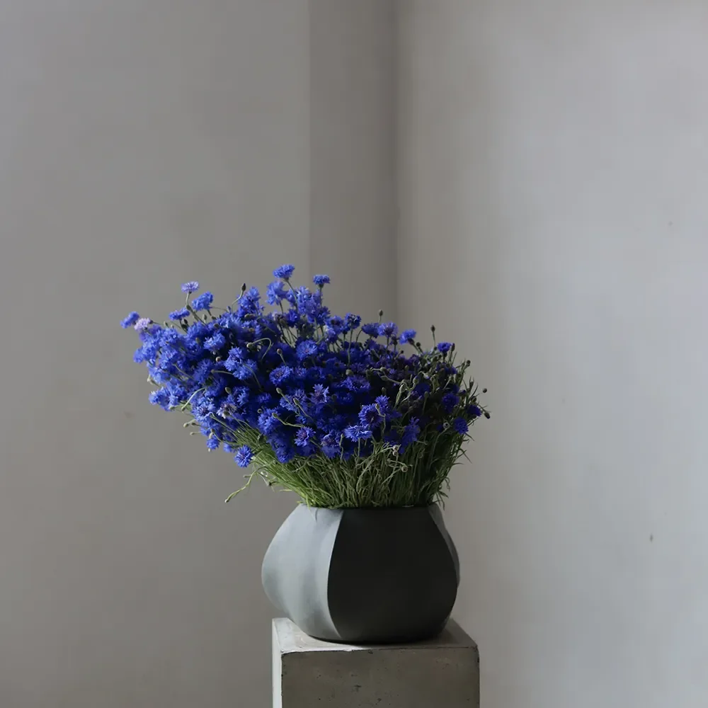 Arket Kruka Mini - Dark Grey