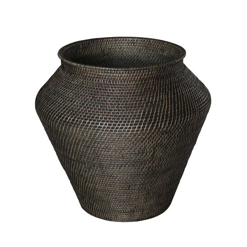 Amazon Snake Korg S Brun