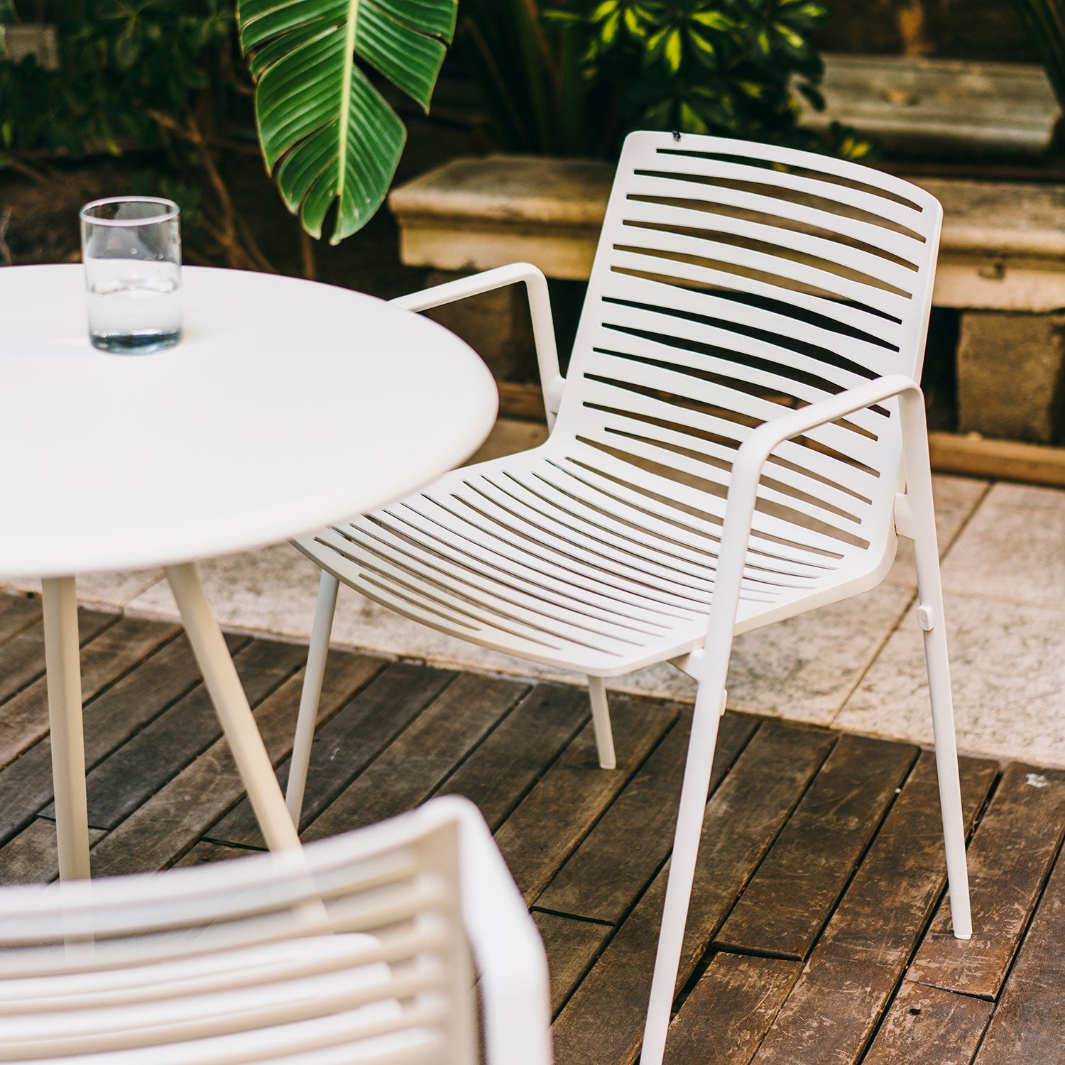 Zebra karmstol Pearly Gold