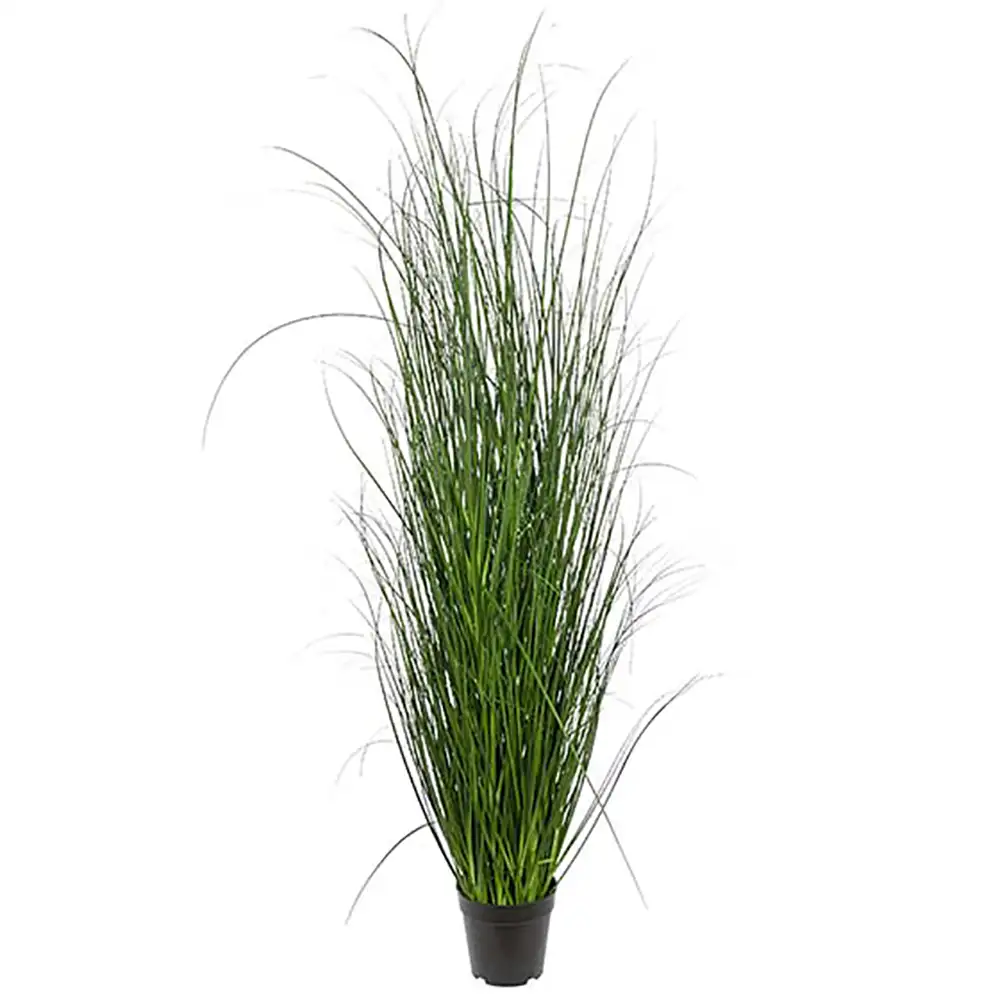 Mr Plant Gräs 140 cm