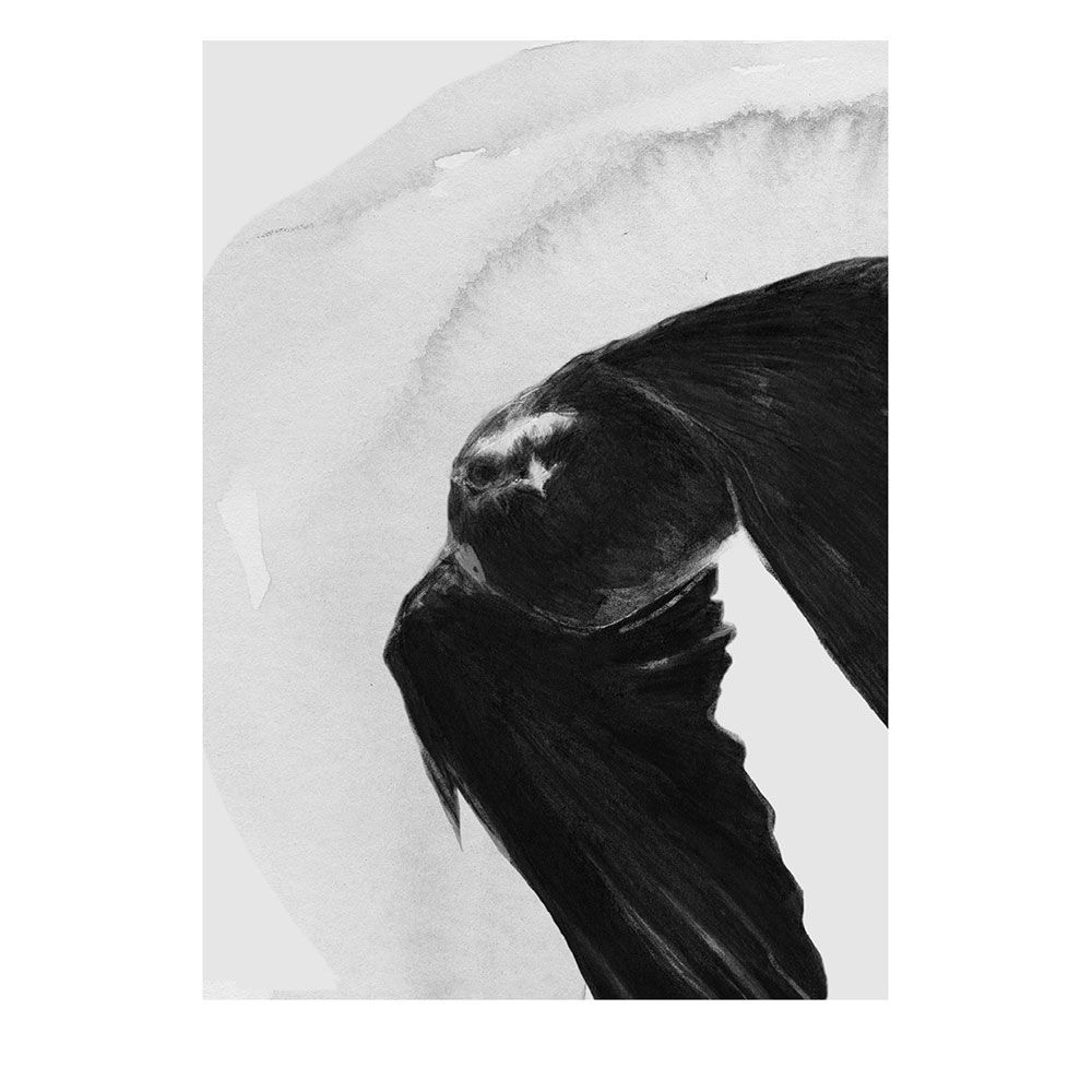 Anna Bülow, Anna Bülow poster  Flight 30x40 cm