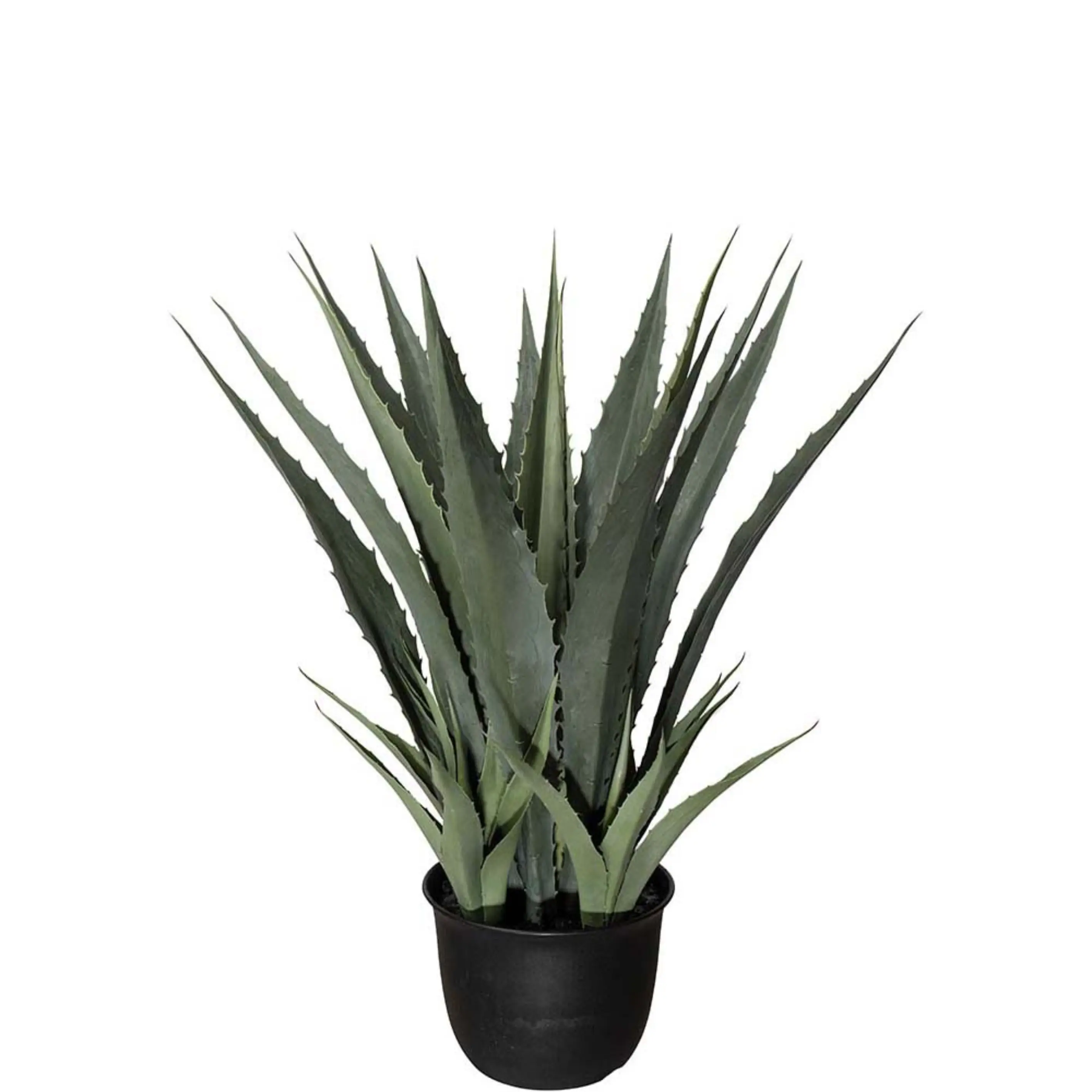 Mr Plant, Agave Grön 100 cm