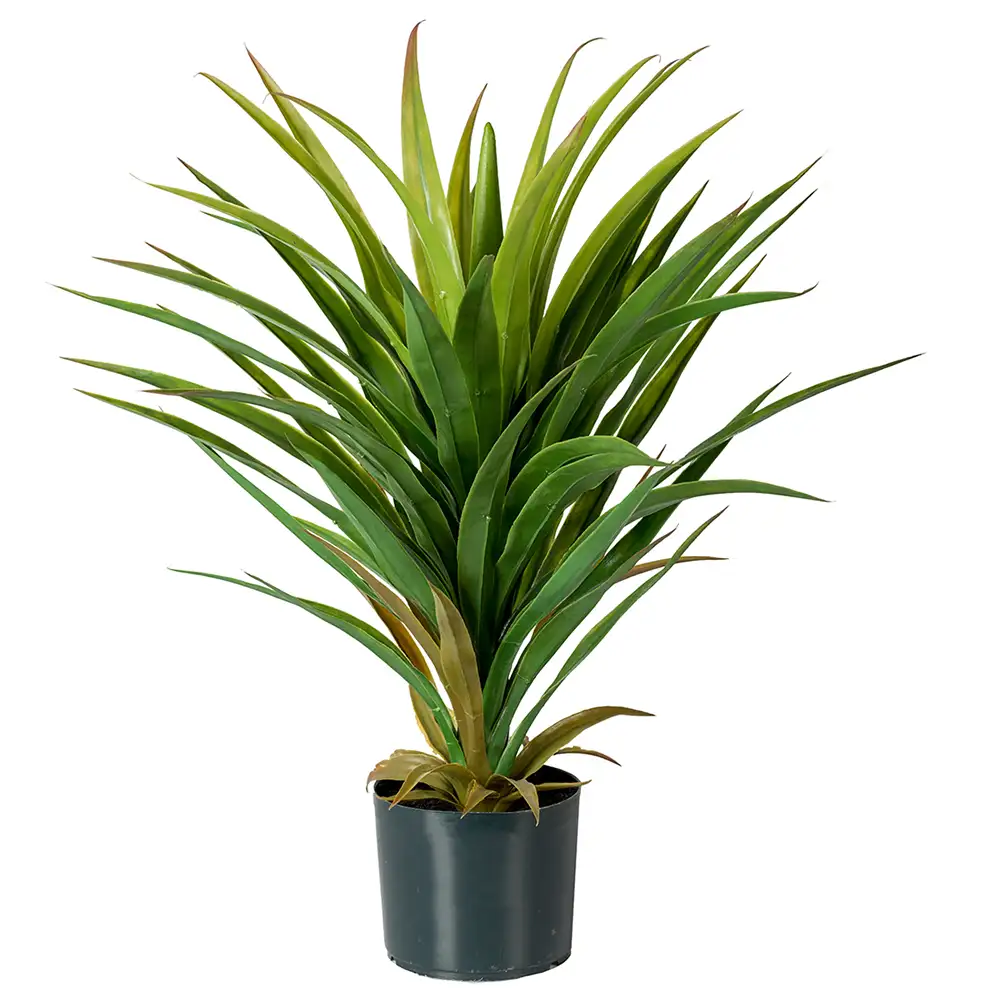 Mr Plant Yucca Krukväxt 70 cm