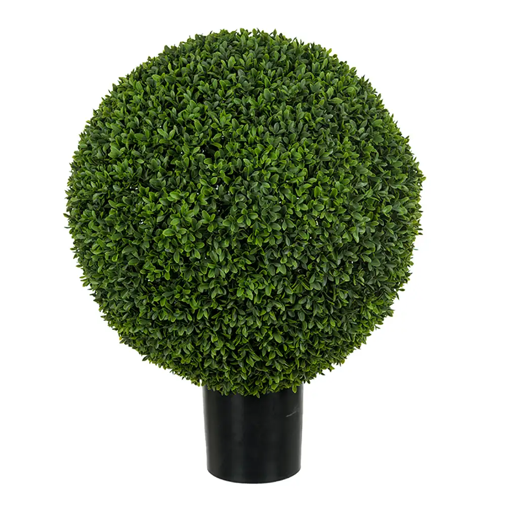 Mr Plant Buxbom i kruka 85 cm