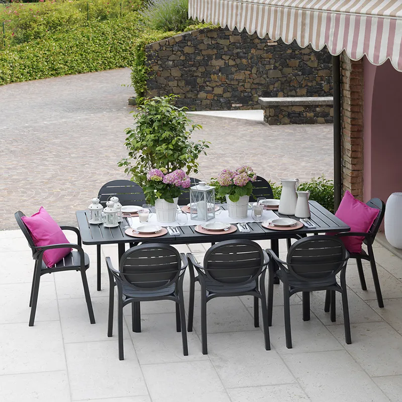 Palma karmstol  White - Tortora