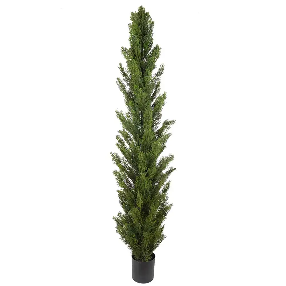 Mr Plant Cypressträd 150 cm