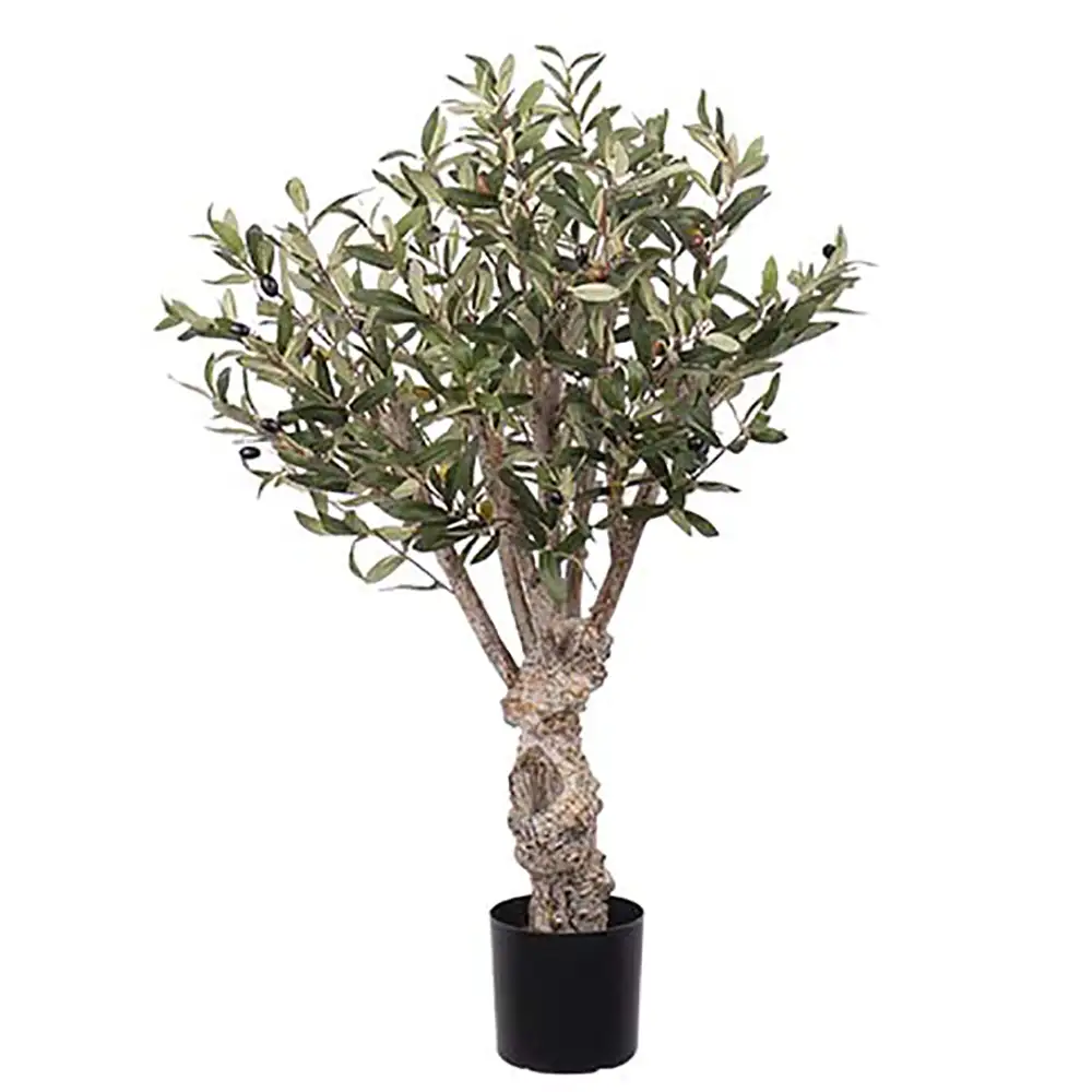 Mr Plant Olivträd 80 cm