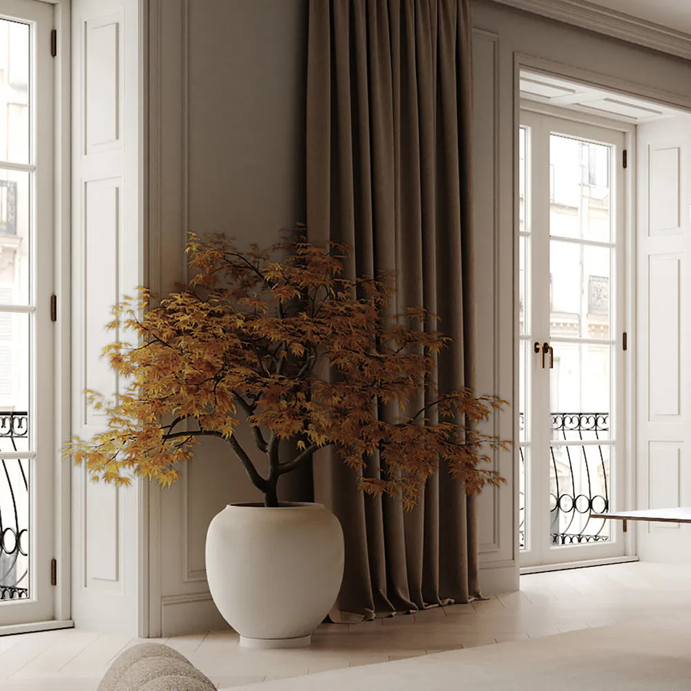 Sunao kruka Hexa - Birch