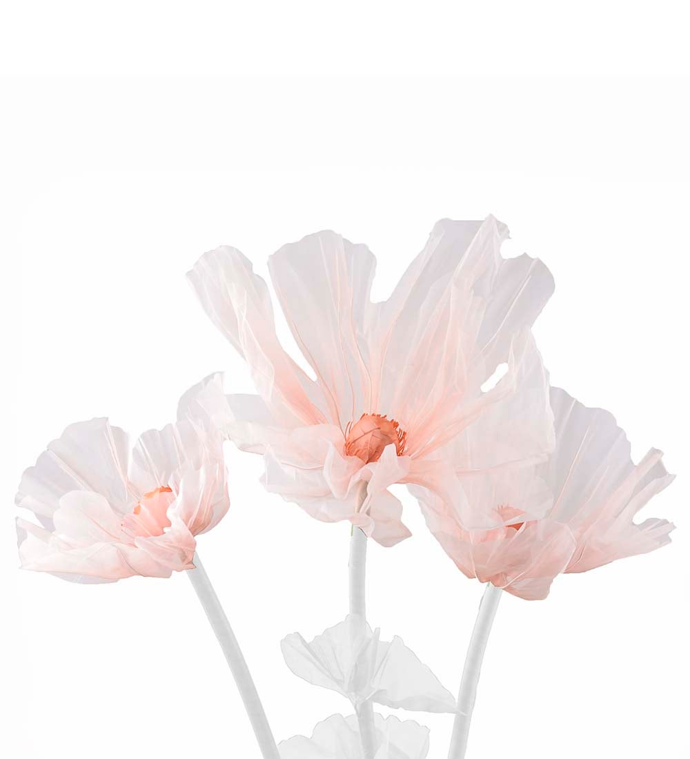 Mr Plant, Blomma Leia Ø80/60/40 cm aprikos