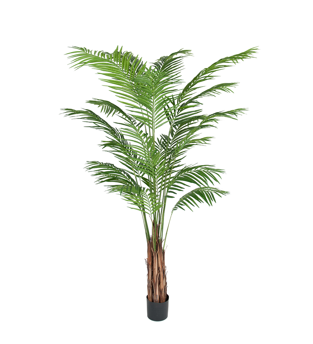 Produktfoto för Mr Plant, Areca Palm 210 cm