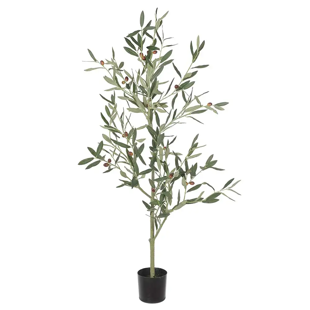 Mr Plant Olivträd 120 cm Grön