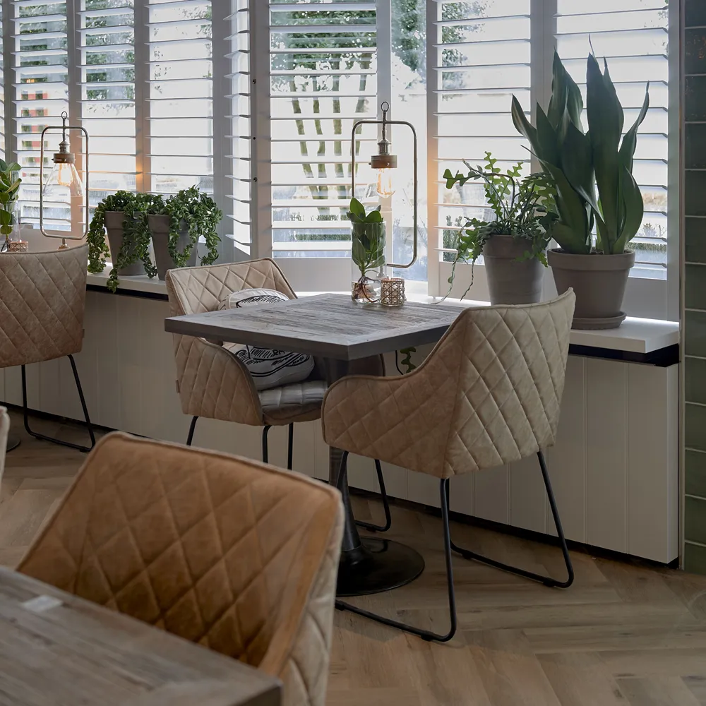 Frisco Drive karmstol pellini camel