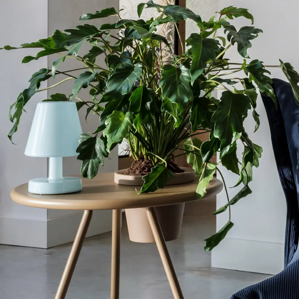 Edison the Ambiance - Bordlampa polar blue