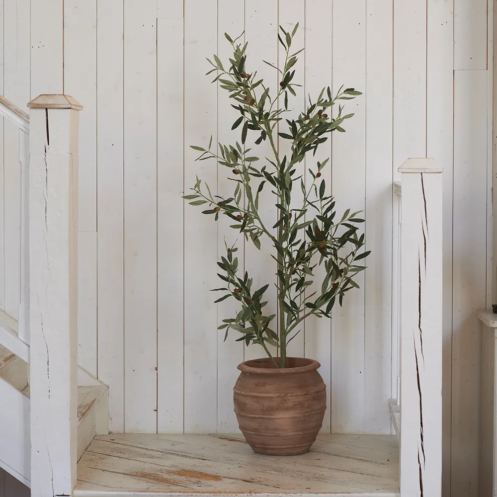 Olivträd 140 cm Grön 