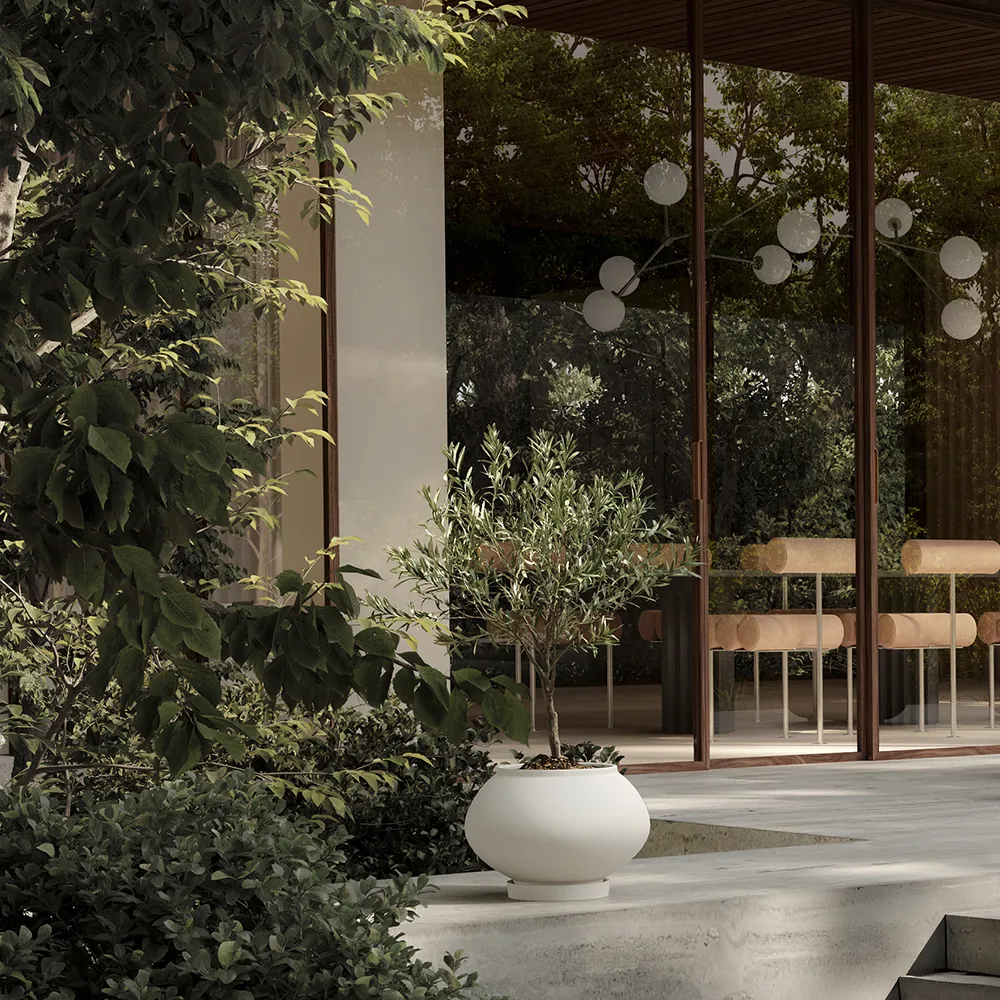 Sunao kruka Fat Medio - Birch