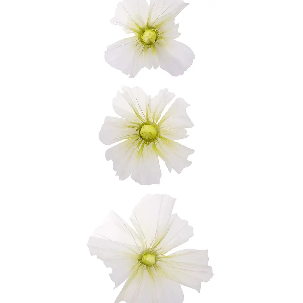 Mr Plant, Blomma Leia vägg Ø80/60/40 cm lime