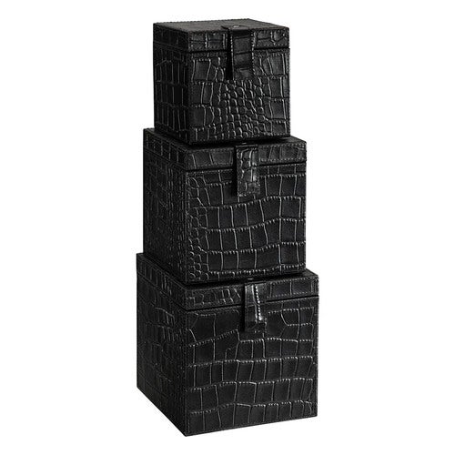 Marcello Box 